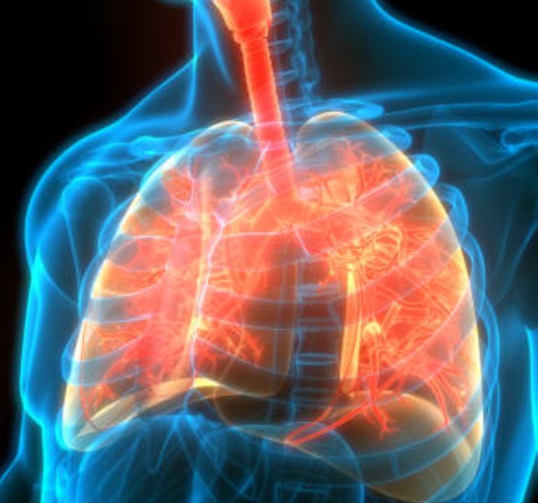 Lung & Respiratory Health